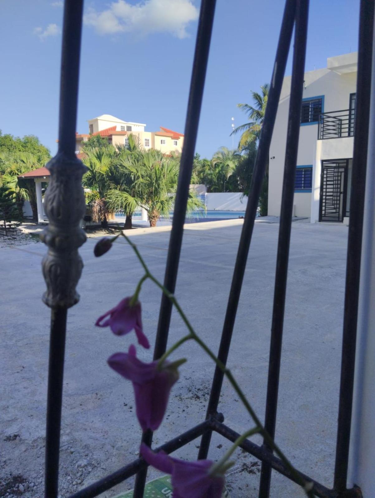 Nely Y Pietro Share Apartment Πούντα Κάνα Εξωτερικό φωτογραφία